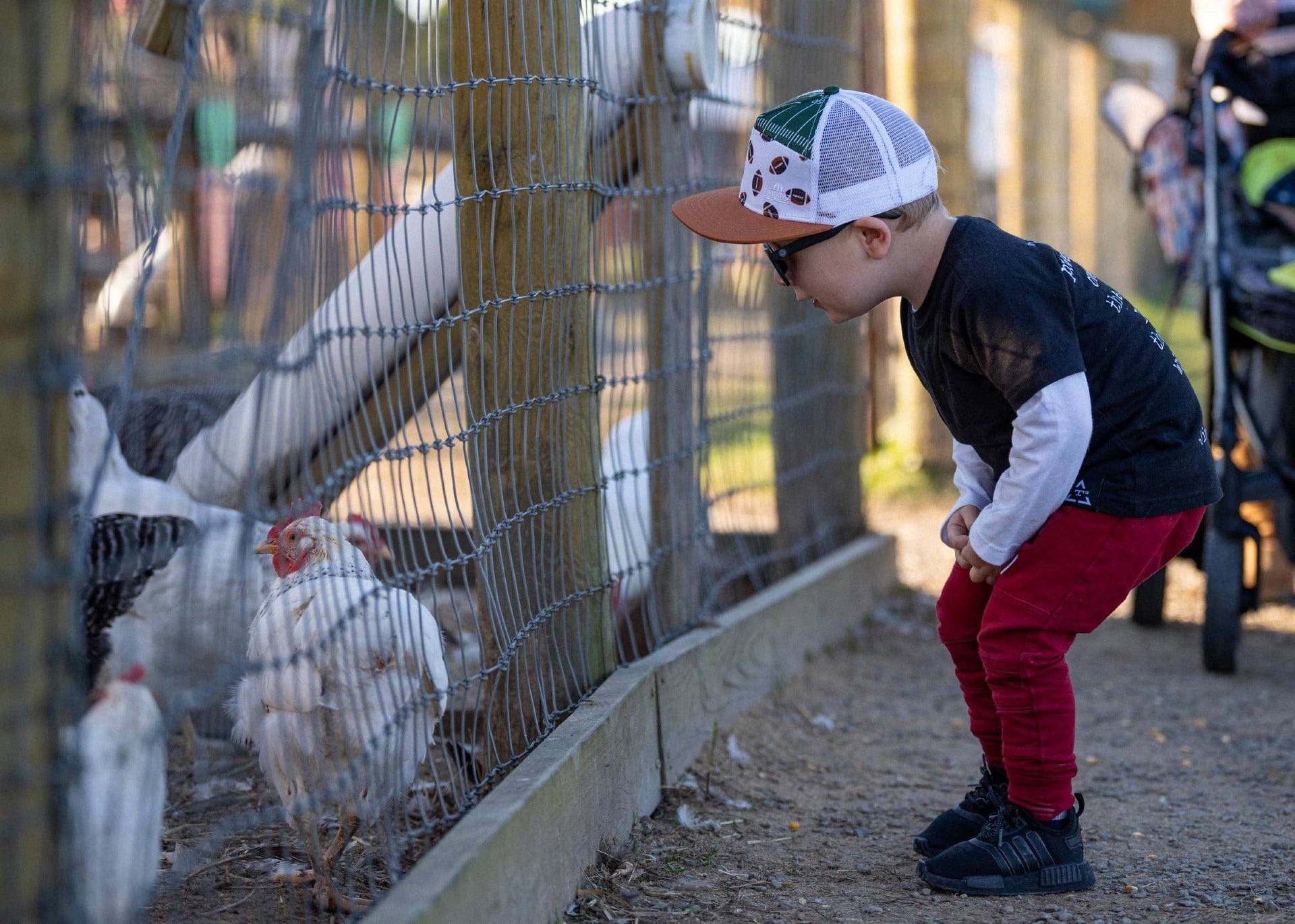 farm-animal-center_2SCX.jpg