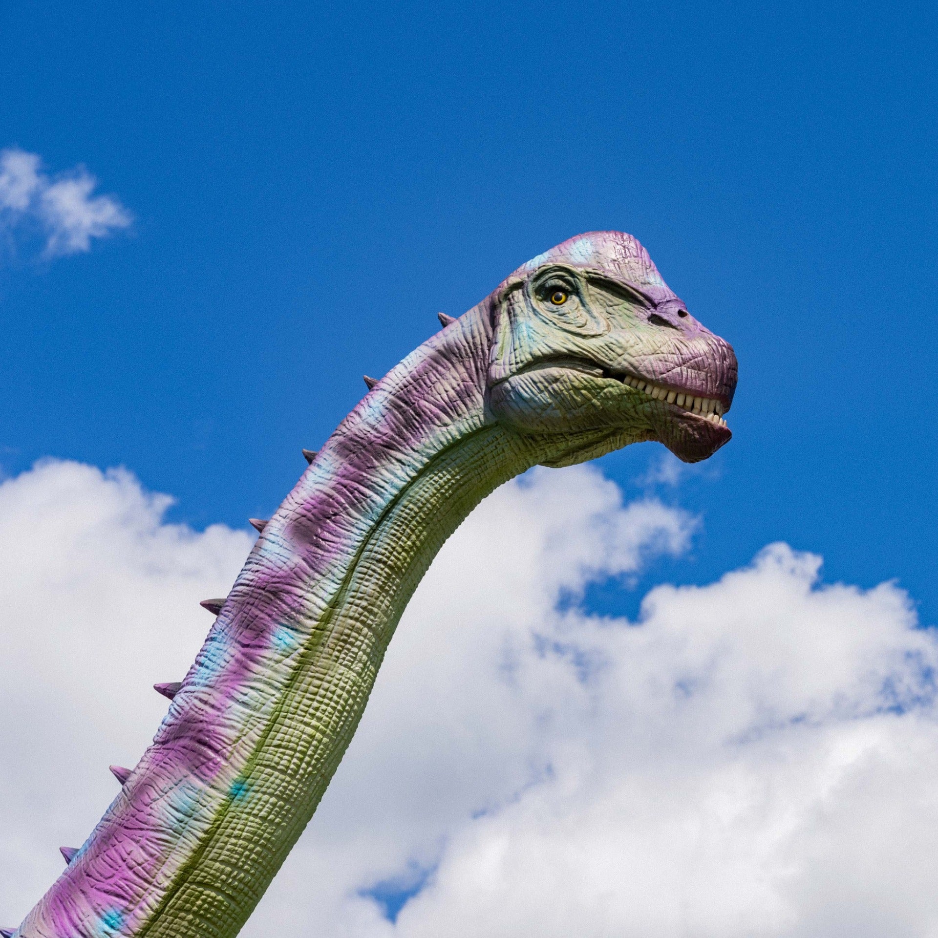 jurassic-farm-dino-fest-02032-1x1_8auJ.jpg