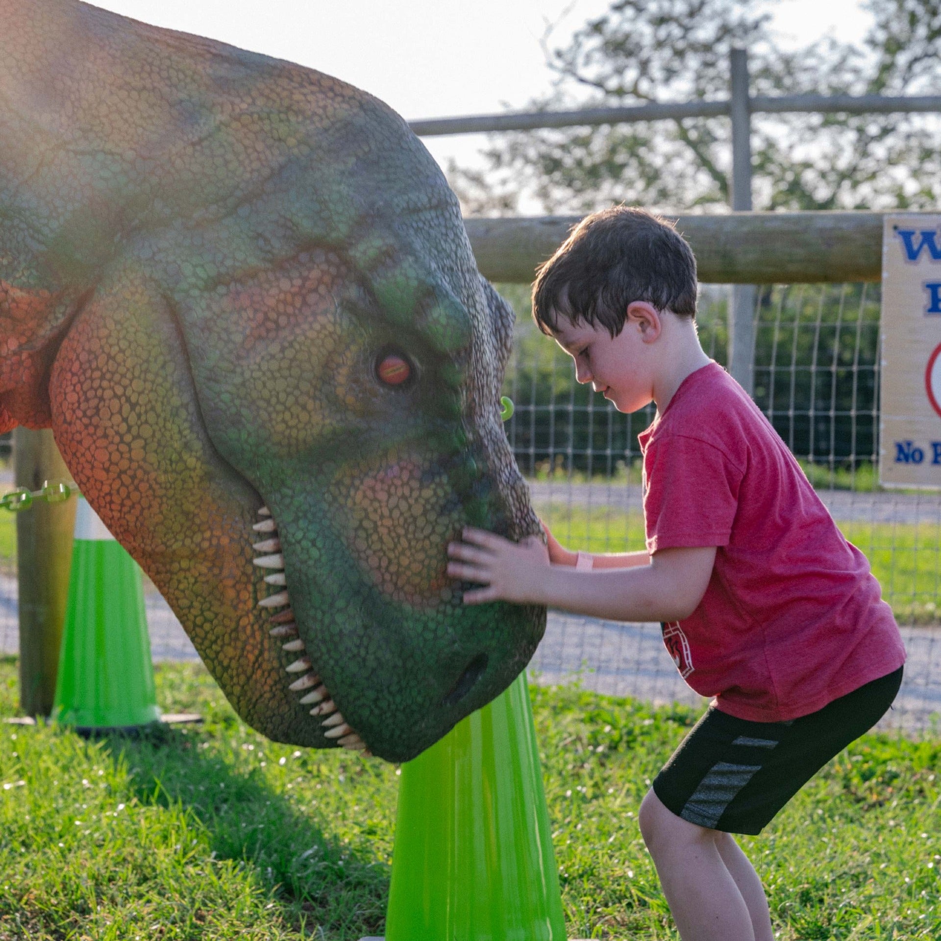 jurassic-farm-dino-fest-02327-1x1_nVht.jpg