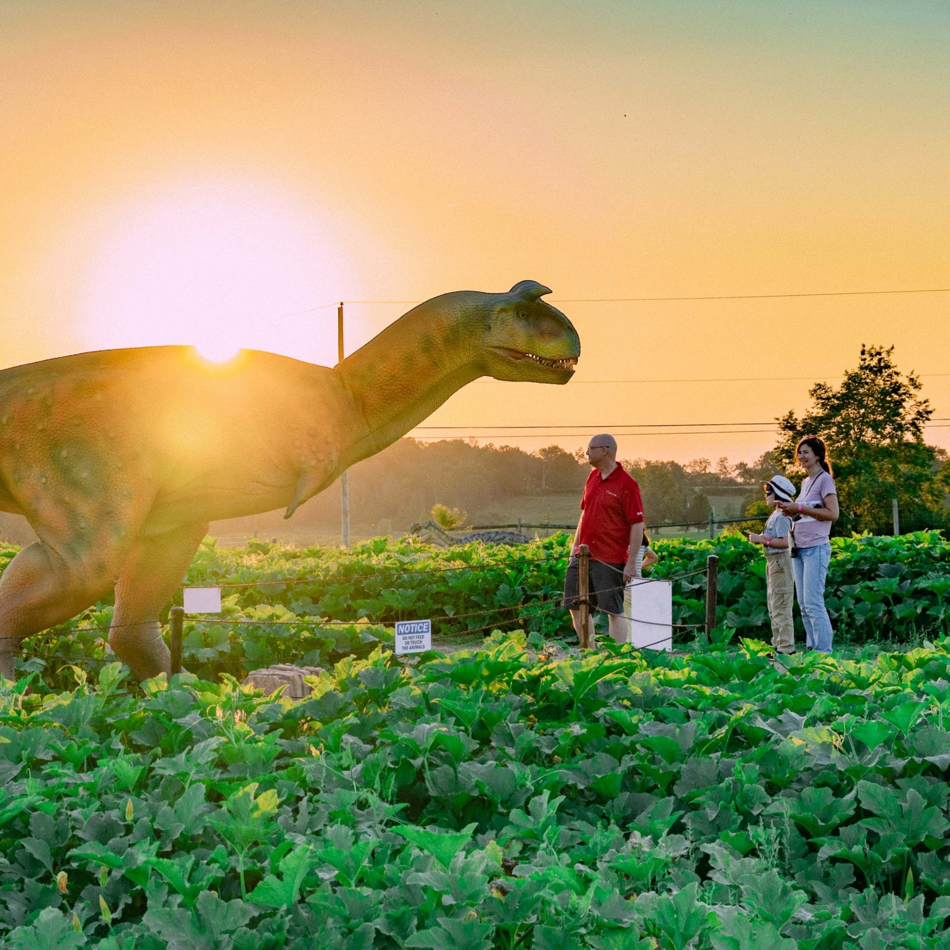 jurassic-farm-dino-fest-025731x1_cSyv.jpg